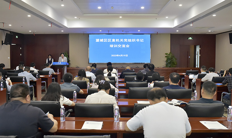 公司職能黨支部書記、黨群綜合部副部長（主持黨建工作）周葵主持會議.jpg